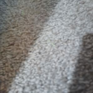 Meet your Posher, Tony